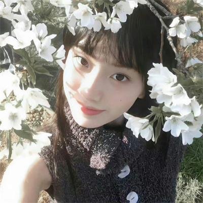 断线森林2